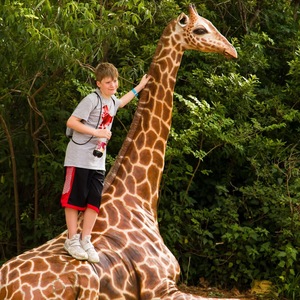 Team Page: Super Layton